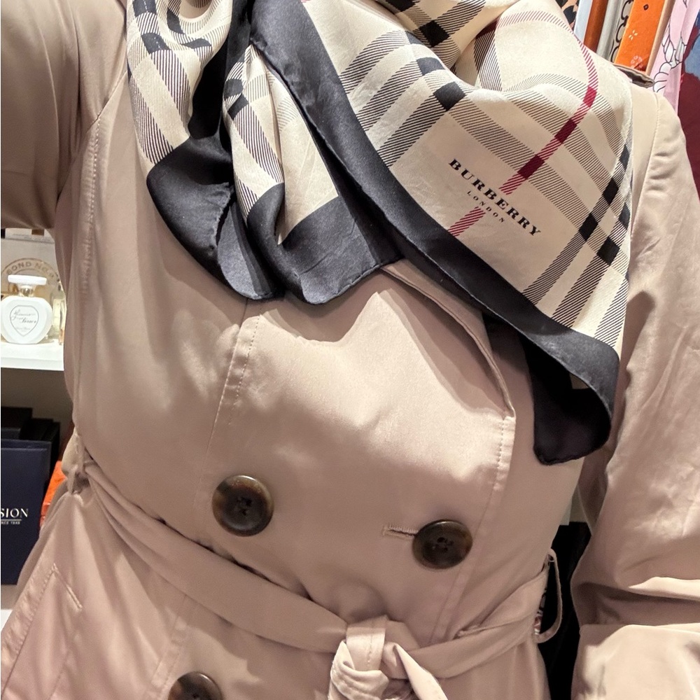 Burberry Beige and Red Plaid Scarf - Picture 7 of 8